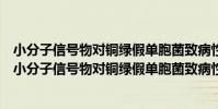 小分子信號物對銅綠假單胞菌致病性和耐藥性的影響(關于小分子信號物對銅綠假單胞菌致病性和耐藥性的影響簡介)