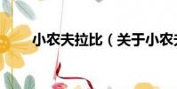 小農夫拉比(關于小農夫拉比簡介)