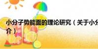 小分子勢能面的理論研究(關于小分子勢能面的理論研究簡介)