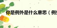 你是例外是什么意思(例外是什么意思)