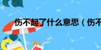 傷不起了什么意思(傷不起什么意思)