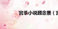 宮殺小說顧念景(宮殺txt)