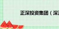 正深投資集團(深正互聯)