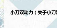小刀雙動力(關于小刀雙動力簡介)