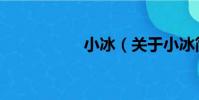 小冰(關于小冰簡介)