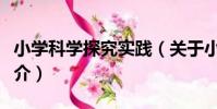 小學科學探究實踐(關于小學科學探究實踐簡介)