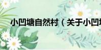 小凹塘自然村(關于小凹塘自然村簡介)