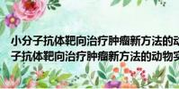 小分子抗體靶向治療腫瘤新方法的動物實驗研究(關于小分子抗體靶向治療腫瘤新方法的動物實驗研究簡介)