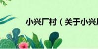 小興廠村(關于小興廠村簡介)