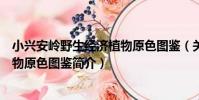 小興安嶺野生經濟植物原色圖鑒(關于小興安嶺野生經濟植物原色圖鑒簡介)