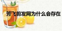 芳飛剪發網為什么會存在(芳飛剪發網)