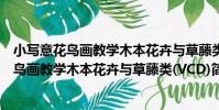 小寫意花鳥畫教學木本花卉與草藤類(VCD)(關于小寫意花鳥畫教學木本花卉與草藤類(VCD)簡介)