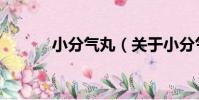 小分氣丸(關于小分氣丸簡介)