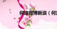 何潔微博新浪(何潔微博)