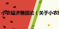 小農經濟穩固論(關于小農經濟穩固論簡介)
