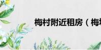 梅村附近租房(梅墟租房)