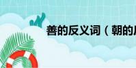 善的反義詞(朝的反義詞)