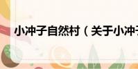 小沖子自然村(關于小沖子自然村簡介)