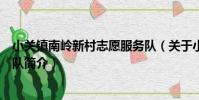 小關鎮南嶺新村志愿服務隊(關于小關鎮南嶺新村志愿服務隊簡介)