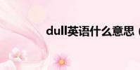 dull英語什么意思(dully)