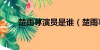楚雨蕁演員是誰(楚雨蕁是誰演的)