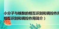 小分子與核酸的相互識別和調控作用(關于小分子與核酸的相互識別和調控作用簡介)