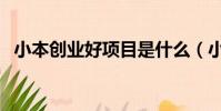 小本創業好項目是什么(小本創業好項目)