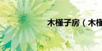 木槿子房(木槿子)