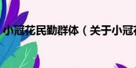 小冠花民勤群體(關于小冠花民勤群體簡介)