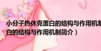 小分子熱休克蛋白的結構與作用機制(關于小分子熱休克蛋白的結構與作用機制簡介)