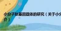 小分子肽基因載體的研究(關于小分子肽基因載體的研究簡介)
