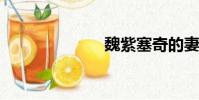 魏紫塞奇的妻子