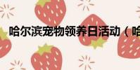 哈爾濱寵物領養日活動(哈爾濱寵物領養)