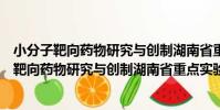 小分子靶向藥物研究與創制湖南省重點實驗室(關于小分子靶向藥物研究與創制湖南省重點實驗室簡介)