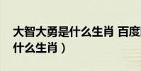 大智大勇是什么生肖 百度網盤(大智大勇是什么生肖)
