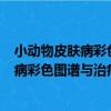 小動物皮膚病彩色圖譜與治療指南 第4版（關于小動物皮膚病彩色圖譜與治療指南 第4版簡介）