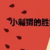 小刺猬的勝利（關于小刺猬的勝利簡介）