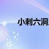 小刺六洞蟲（關于小刺六洞蟲簡介）