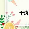 干燒法（關于干燒法介紹）