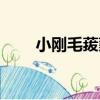小剛毛菝葜（關于小剛毛菝葜簡介）