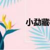 小勐藏村（關于小勐藏村簡介）