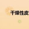 干燥性皮炎（關于干燥性皮炎介紹）