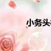小務頭村（關于小務頭村簡介）