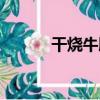 干燒牛腩（關于干燒牛腩介紹）