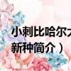 小刺比哈爾大孢 新種（關于小刺比哈爾大孢 新種簡介）