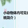 小動物體內可見光成像系統（關于小動物體內可見光成像系統簡介）