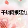 干燒阿根廷紅蝦（關于干燒阿根廷紅蝦介紹）