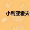 小利亞霍夫島（關于小利亞霍夫島簡介）