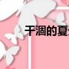干涸的夏天（關于干涸的夏天介紹）