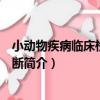 小動物疾病臨床檢查和診斷（關于小動物疾病臨床檢查和診斷簡介）